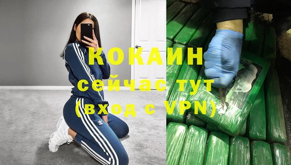 ПСИЛОЦИБИНОВЫЕ ГРИБЫ Покров