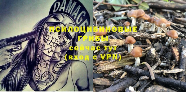 каннабис Покачи
