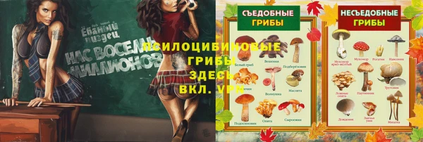 ПСИЛОЦИБИНОВЫЕ ГРИБЫ Покров